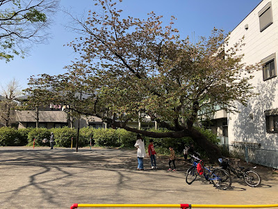 코스기고텐쵸 공원 사진 5
