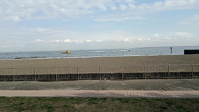 조난지마해변공원 사진 2