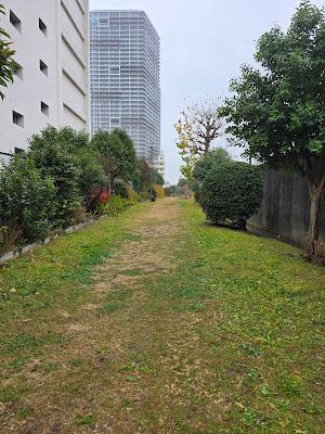 こどもの広場 사진 2
