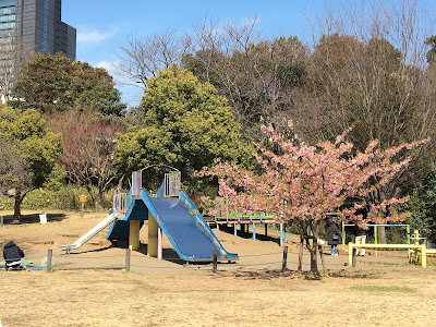 스게카리 공원 사진 3