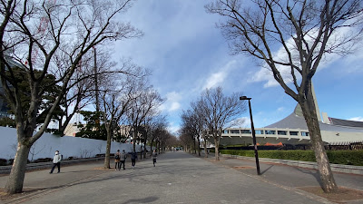 Yoyogi Park Zelkova Avenue 사진 2