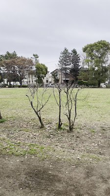 도카이멘 공원 사진 2