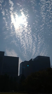 히비야 공원 분수광장 사진 2