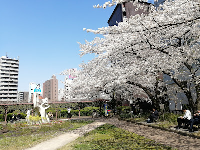 츠키지가와 카메이바시 공원 사진 4