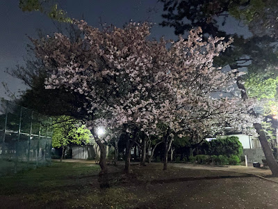 우키타중앙공원 사진 3