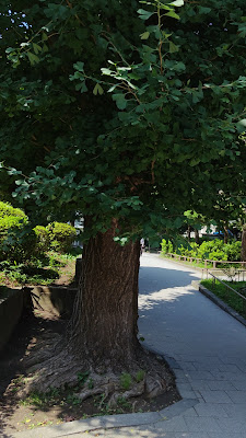 레키센 공원 사진 2