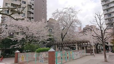 이리야미나미 공원 사진 3