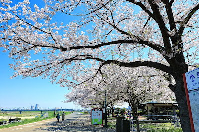 Shibamata Park 사진 3