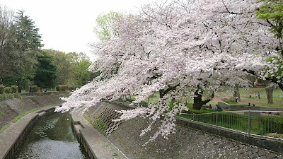 와다보리공원 사진 2