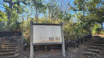 츠나시마 공원 사진 4