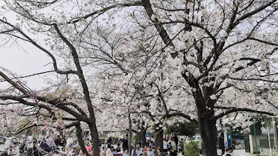 니시로쿠고3쵸메 공원 사진 2