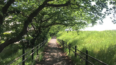 타마가와 로쿠고바시 녹지 공원 사진 2