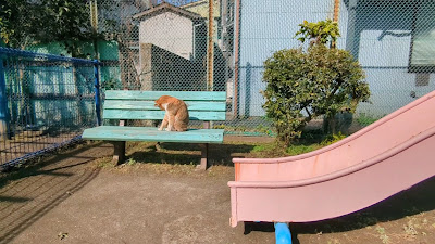 마에카와라 아동공원 사진 2