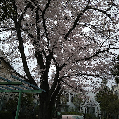 마에카와라 아동공원 사진 5