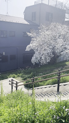 도노마치 제2공원 사진 2