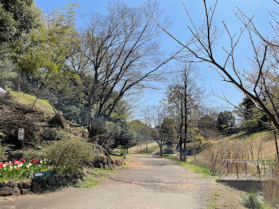 우시쿠보 공원 사진 4