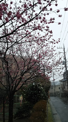 히요시 고초메 공원 사진 4