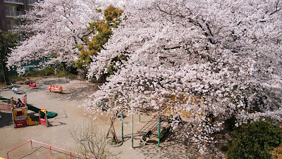 타마가와2쵸메 아동공원 사진 3