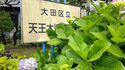 텐노키 아동공원 사진 4