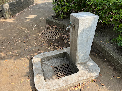 Kita-Yamata Kagefumi Park 사진 5