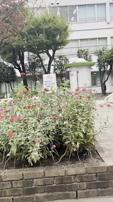 시모마루코 단짝공원 사진 2