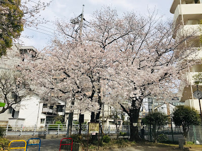 무사시닛타 아동공원 사진 5