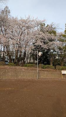 Arimakashinoki Park 사진 4