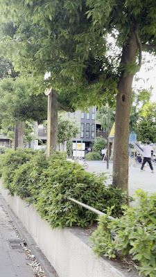 이마이 공원 사진 2