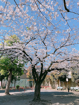 니시카마타1쵸메 아동공원 사진 2