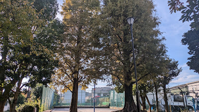 키후네 아동공원 사진 2