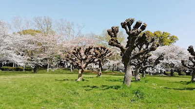 게이힌지마부두공원 사진 2