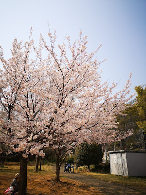Miyamaeutsukushinomori Park 사진 3