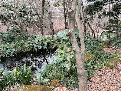 Miyamaeutsukushinomori Park 사진 4