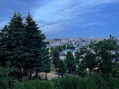 Saginumakita Park 사진 4