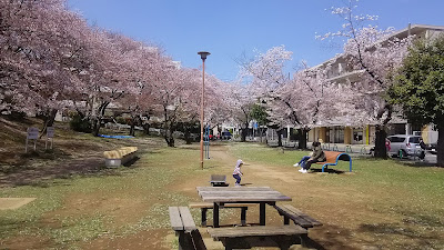 Kajigaya Dai-ichi Park 사진 4