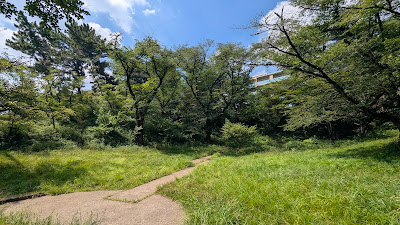 Kajigaya Dai-ichi Park 사진 3