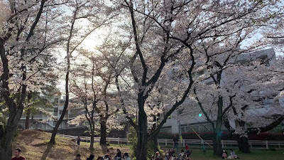 Kajigaya Dai-ichi Park 사진 2