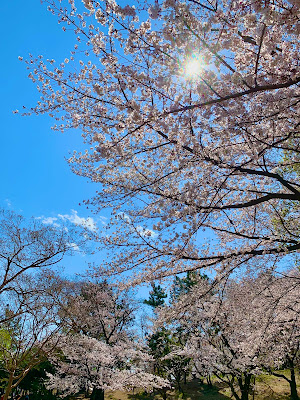 Kajigaya Dai-ichi Park 사진 5