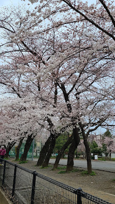 Miyamaedaira Park 사진 3