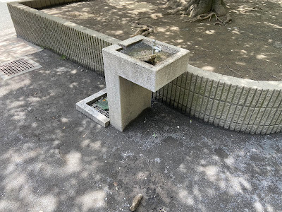 마루코도리 벚꽃 공원 사진 3