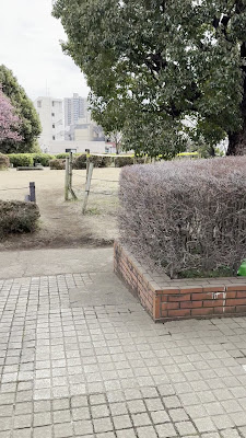 오오쿠라야마 공원 사진 2