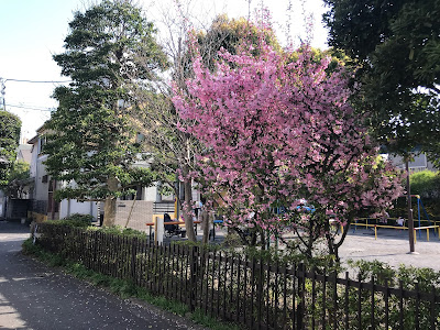 산산네기시 공원 사진 4
