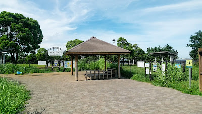 쓰바사 애견공원 사진 5