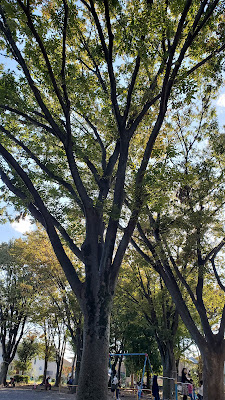 Shiboku Park 사진 4