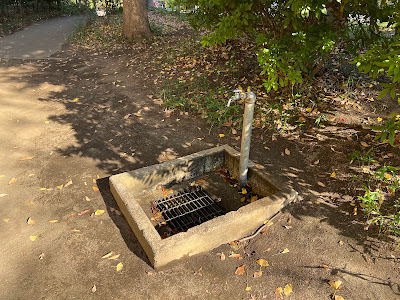 Suenaga Keyaki Park 사진 5