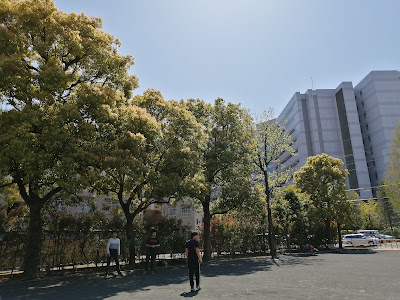 Sakado Park 사진 5