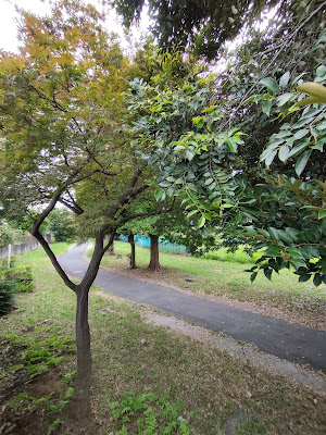 Sakado Itchome Park 사진 4