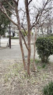 키타노코바토 아동공원 사진 2