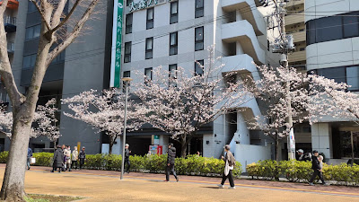 오이스진 공원 사진 2