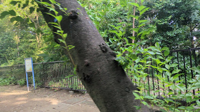 카미노게 자연공원 사진 2